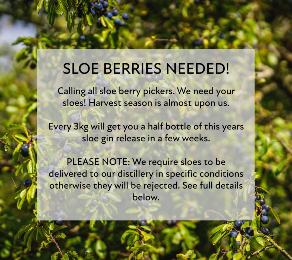 Sloe Berries & Damsons Needed! Abingdon Distillery